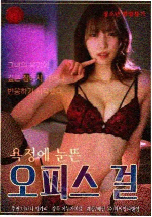 大明风华